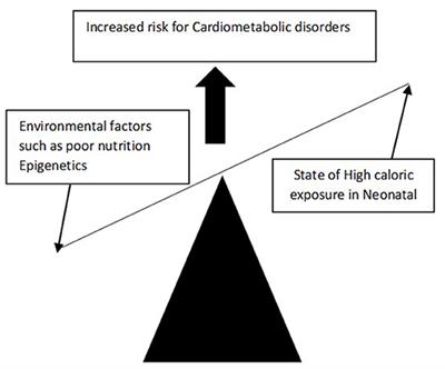 Barker Hypothesis and Hypertension